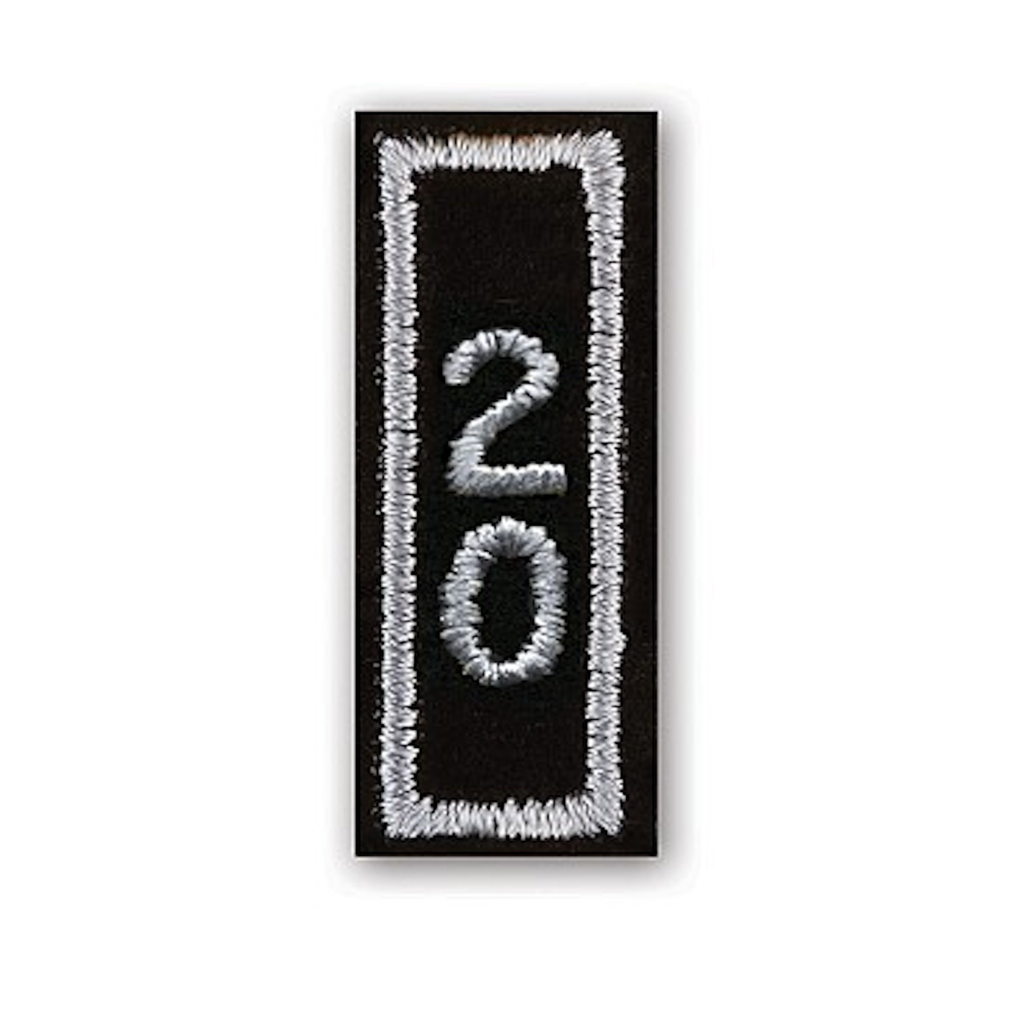 Year 20 Patch In Silver